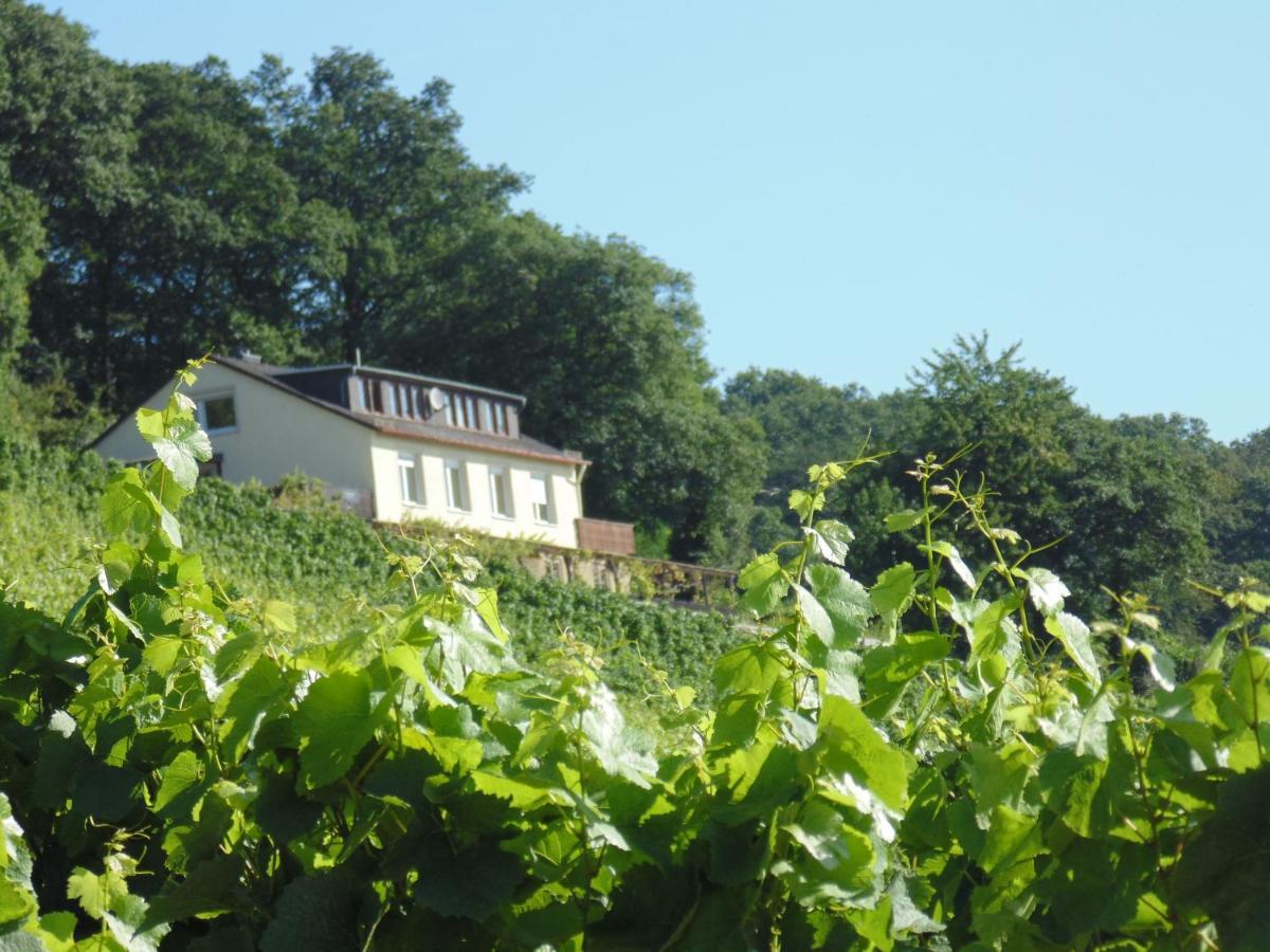 Das Rebenhaus Rüdesheim am Rhein Exterior foto