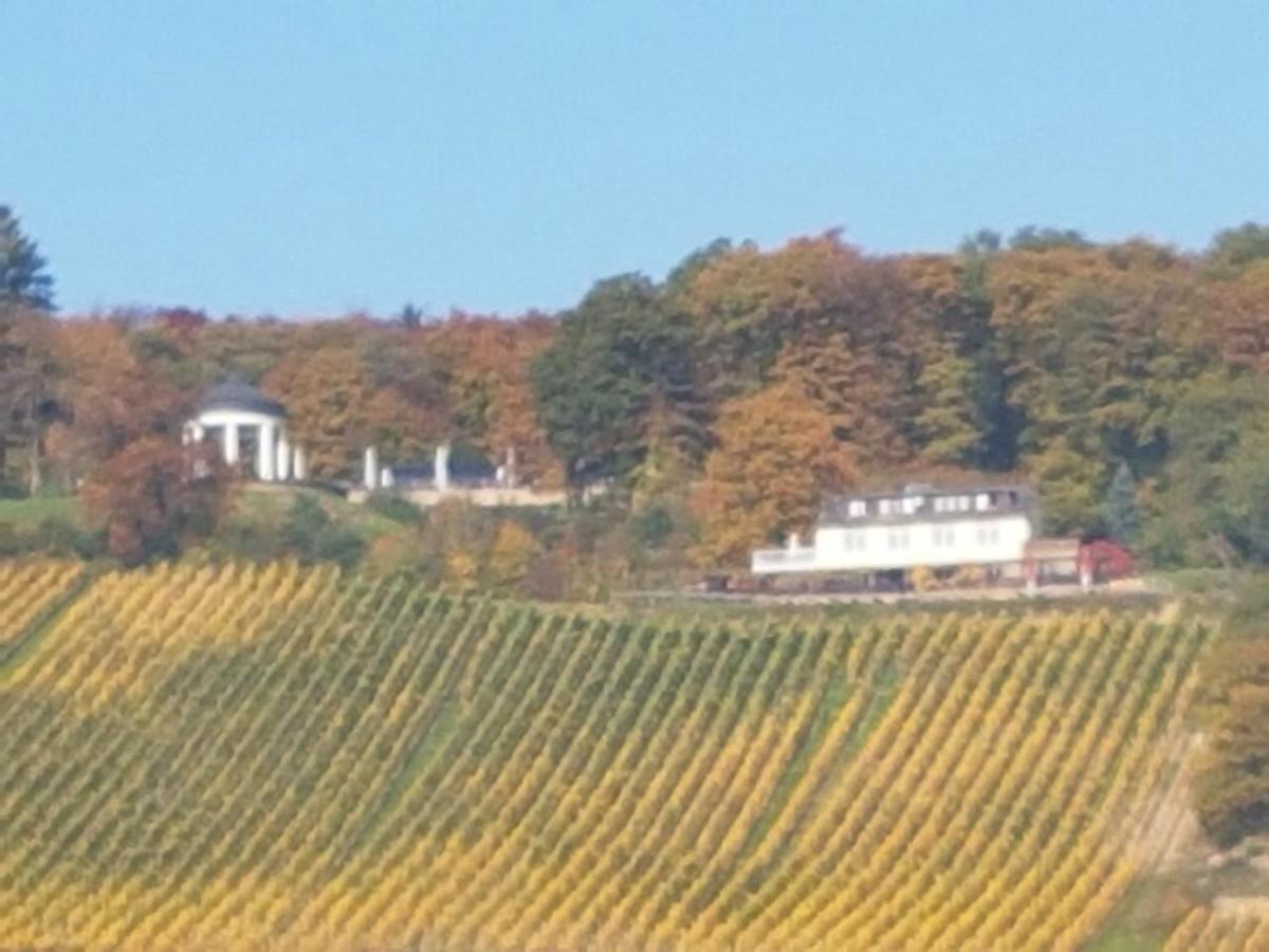 Das Rebenhaus Rüdesheim am Rhein Exterior foto
