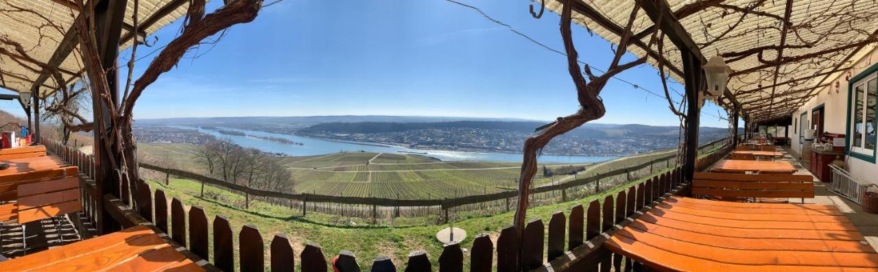 Das Rebenhaus Rüdesheim am Rhein Exterior foto