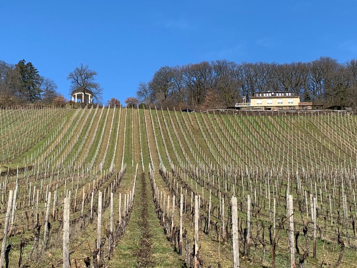Das Rebenhaus Rüdesheim am Rhein Exterior foto