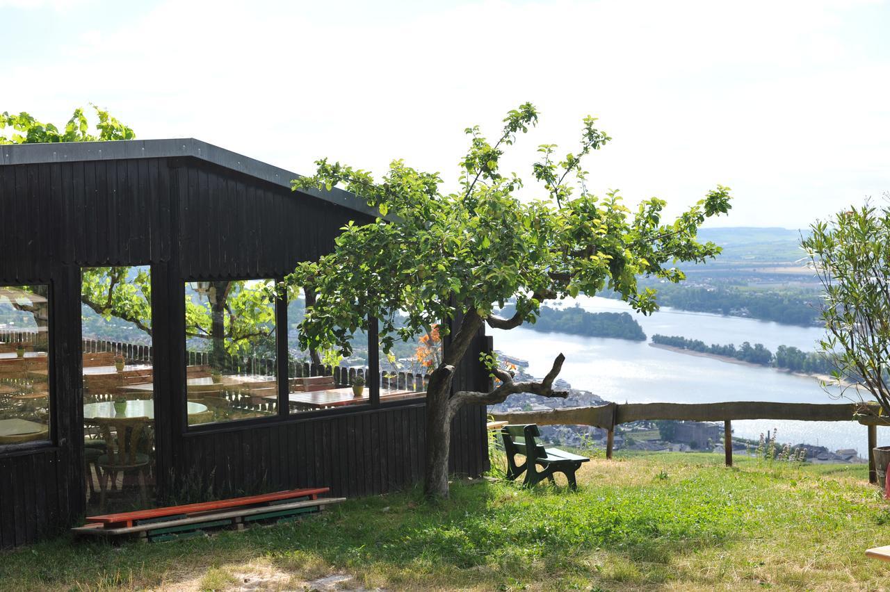 Das Rebenhaus Rüdesheim am Rhein Exterior foto